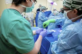 De Cruciale Rol van Medische Expertise bij Orgaantransplantatie