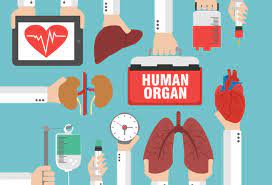 De Impact van Orgaantransplantaties op Levens: Een Diepgaande Analyse