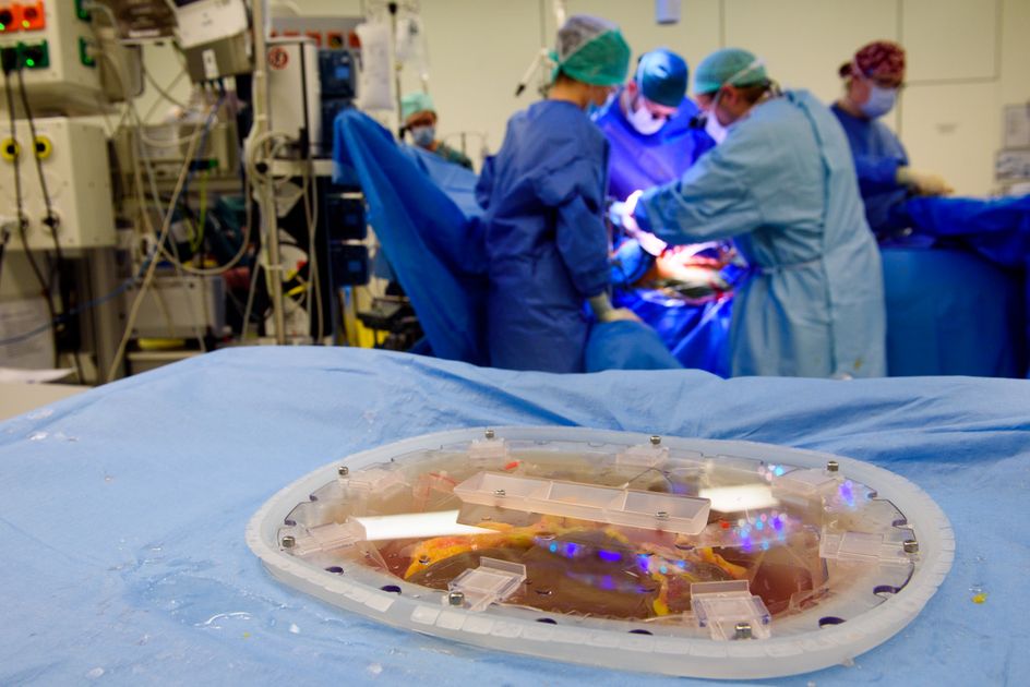 begeleiding na transplantatie