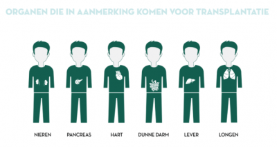 De Dankbaarheid van Orgaanontvangers: Een Nieuw Begin na Transplantatie