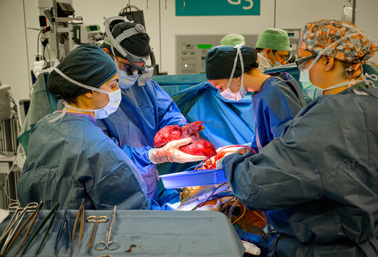 Orgaantransplantaties in België: Een Diepgaande Blik op Levensreddende Praktijken