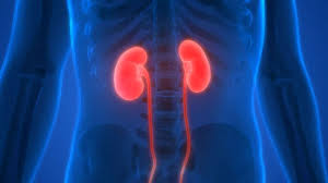 Innovatieve Zorg bij AKI Medisch: Vooruitstrevende Geneeskunde in België