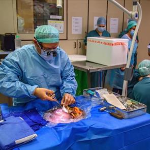 Leven na Transplantatie: Een Nieuwe Start vol Hoop en Kansen