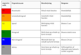 Cerebrale Parese (CP) – Afkorting Medisch Explained
